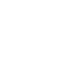 Logo du Musée de la Civilisation de Québec